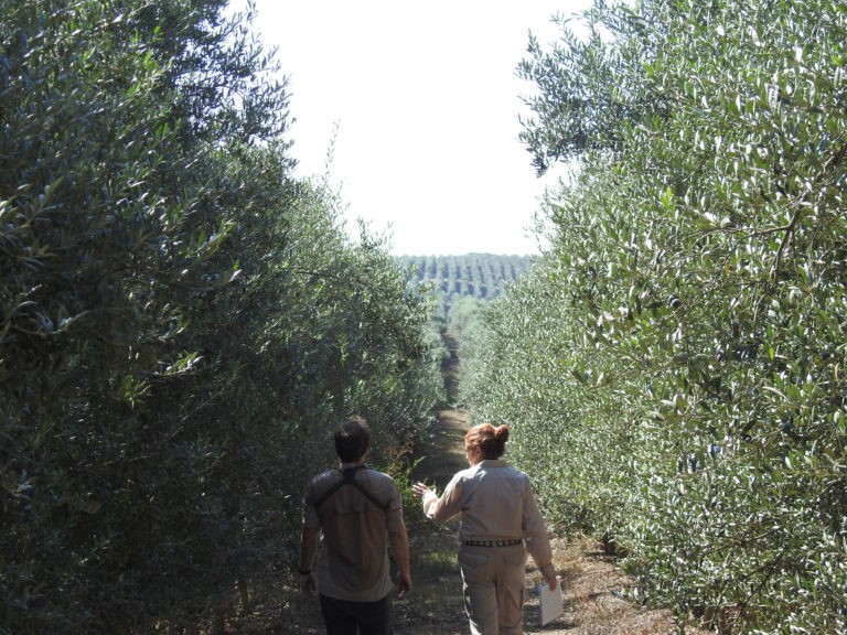 Apostamos por la protección y el incremento de la biodiversidad