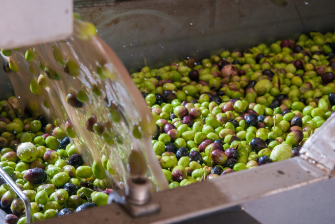 GO OLIVECIDA Project: Circularity in the Olive Industry