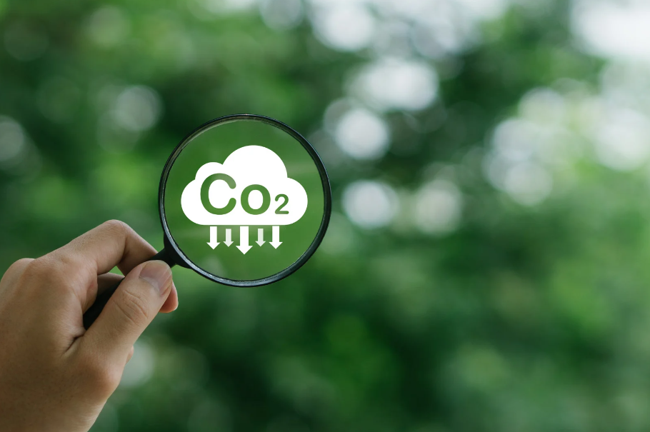 360 Soluciones calcula la Huella de Carbono para la empresa Semilla y Grano